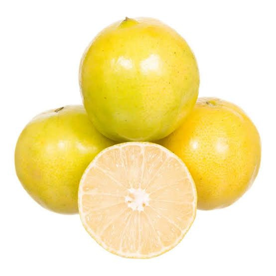 Laranja lima da Pérsia 