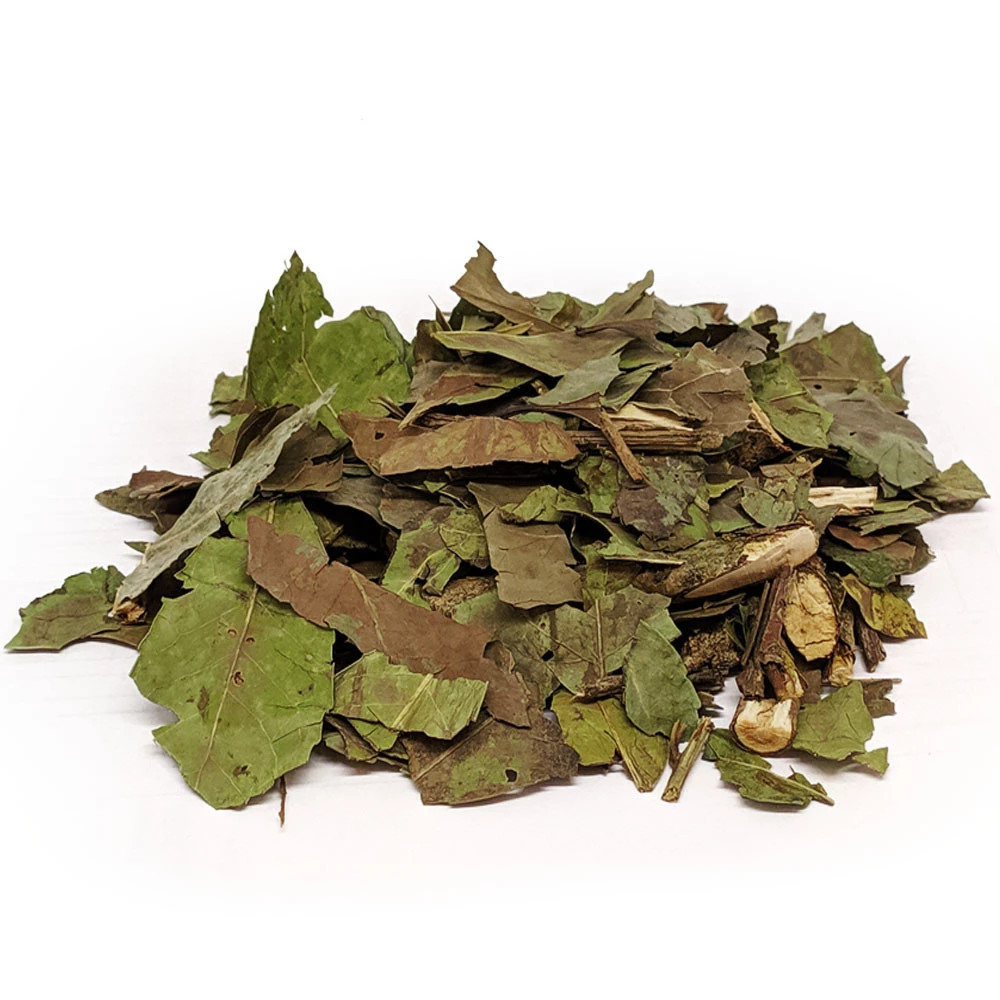 CHÁ VERDE FOLHA
