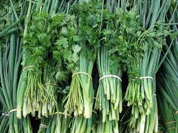 CHEIRO VERDE