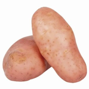 BATATA ASTERIX KG