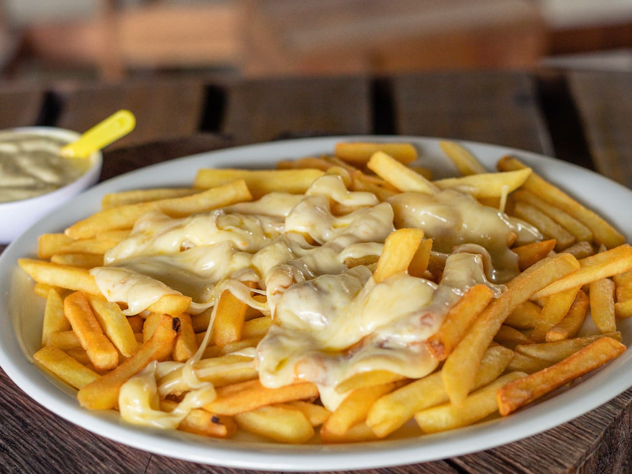 FRITAS G COM MUSSARELA (500G)