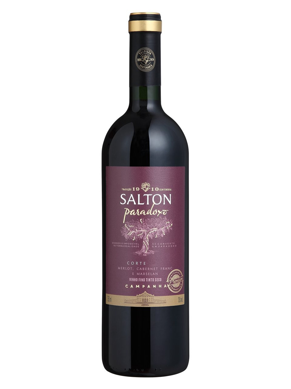 VINHO SALTON PARADOXO CORTE 2021