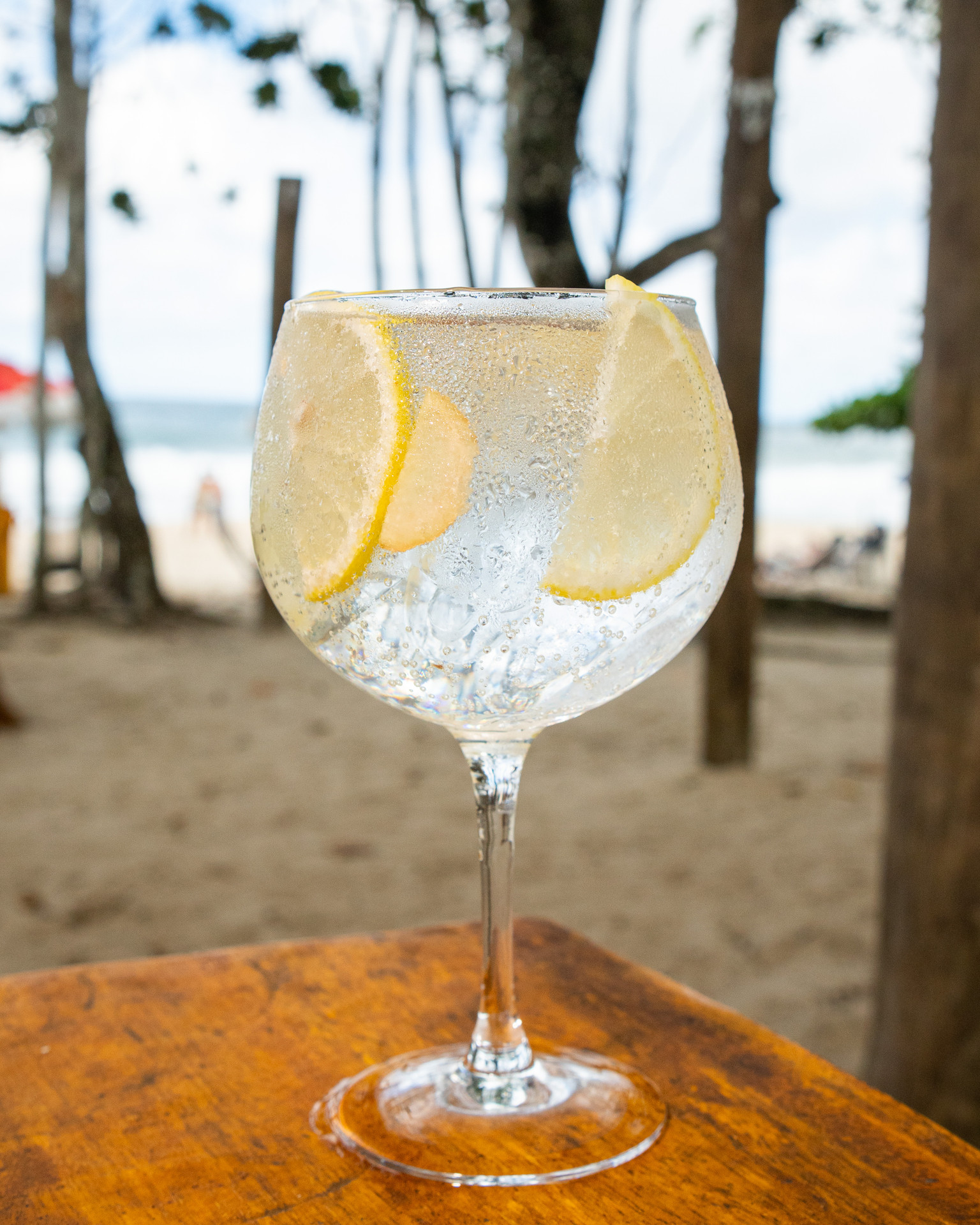 GIN TONICA