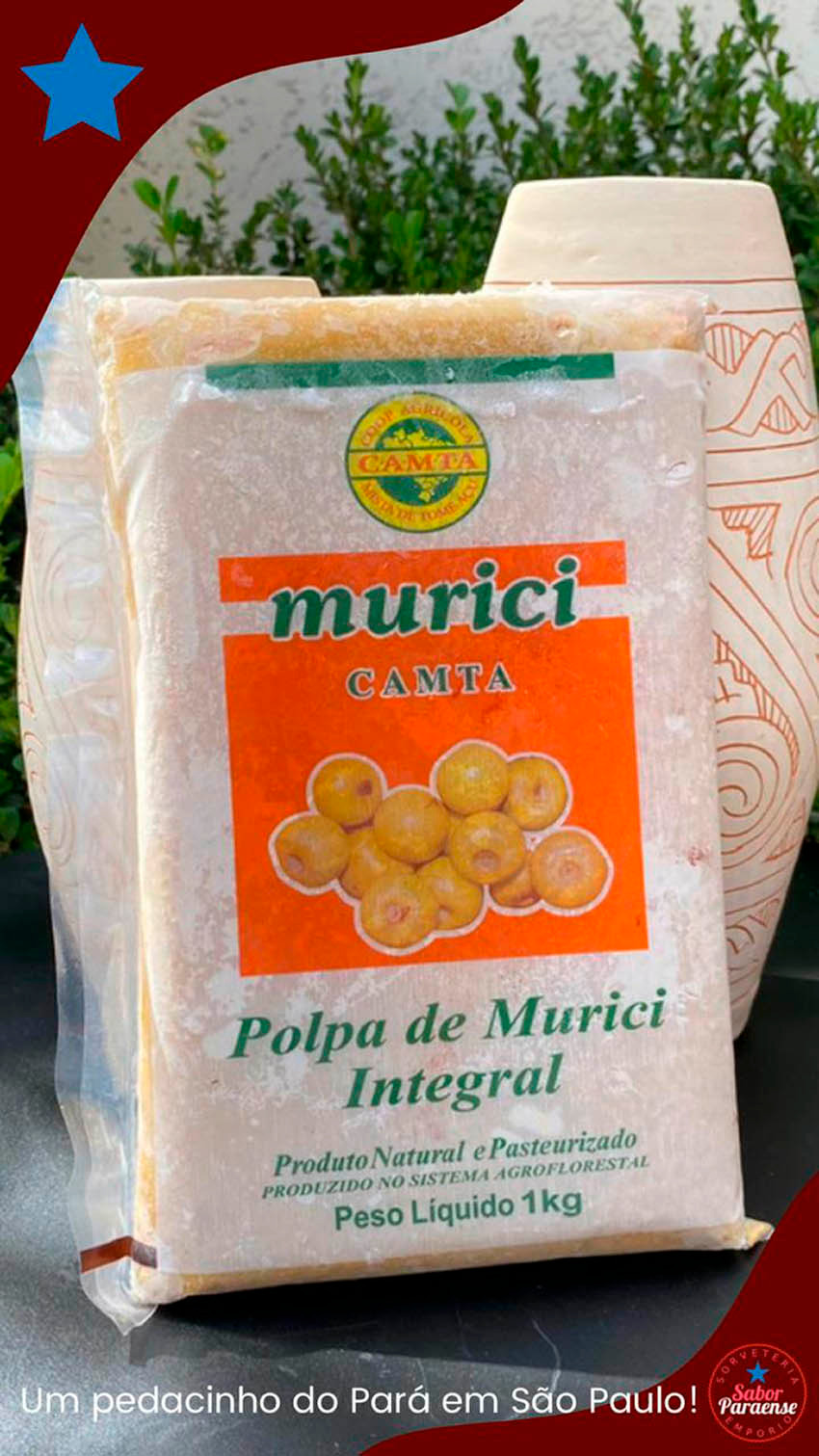 POLPA MURUCI