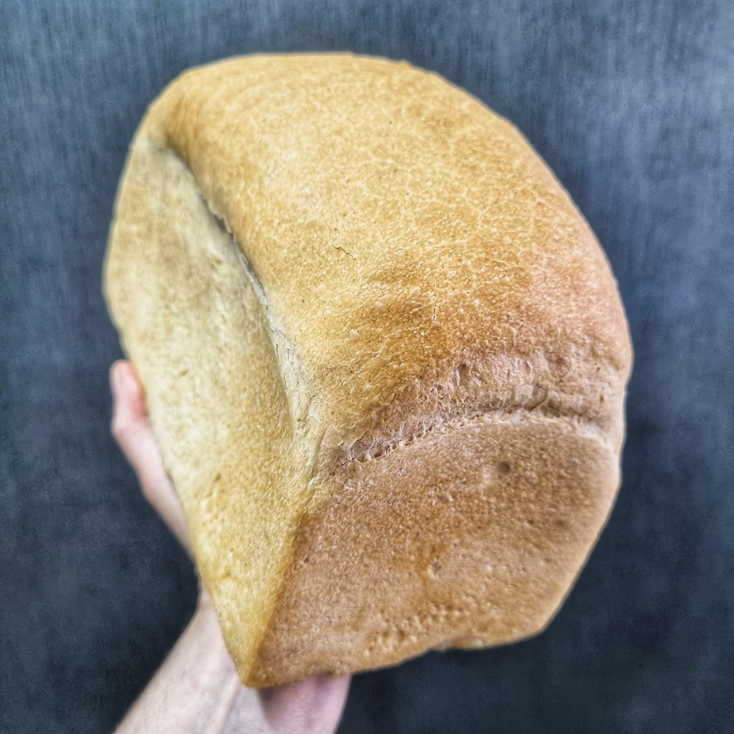 Pao Semi-Integral De Forma 500Gr