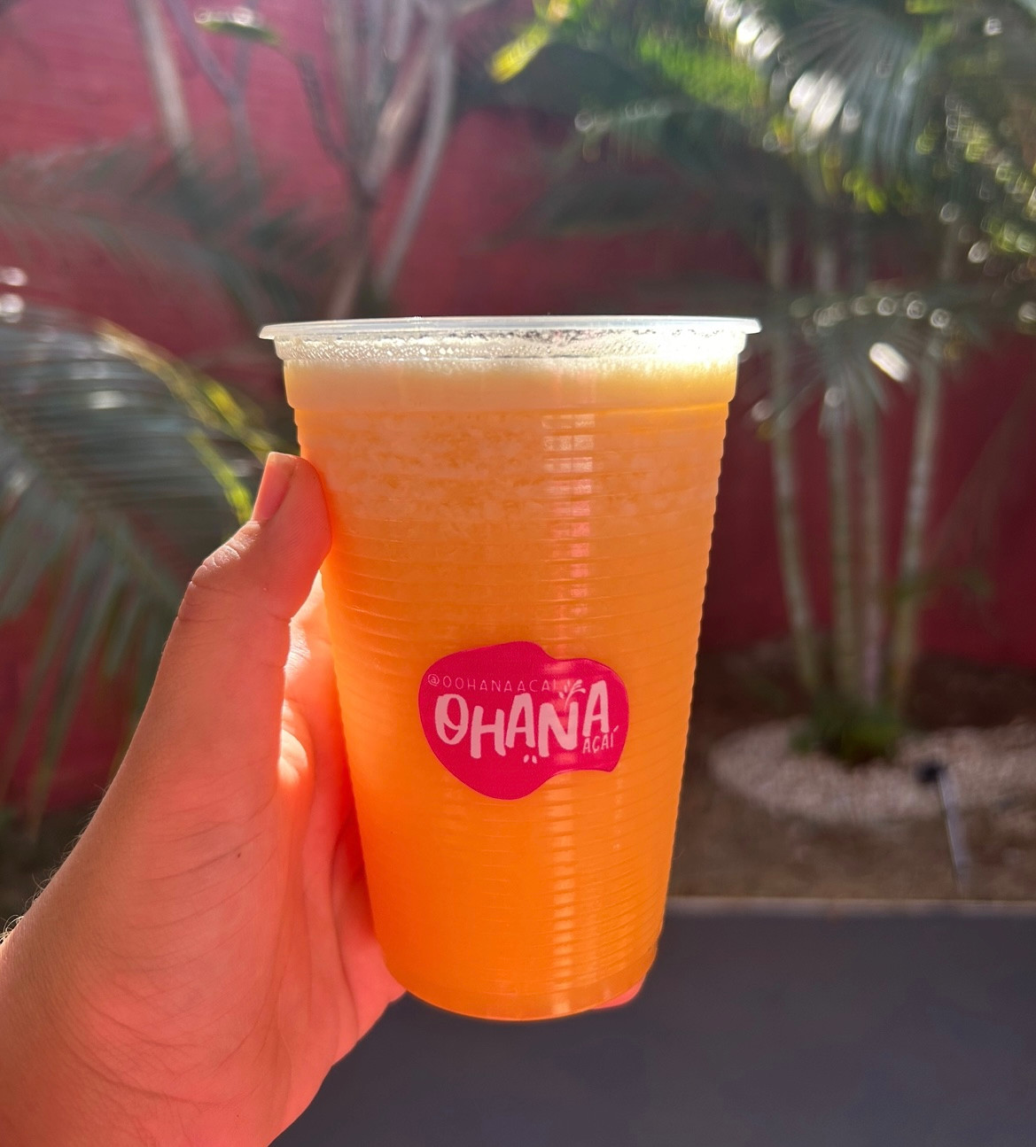 SUCO DE LARANJA