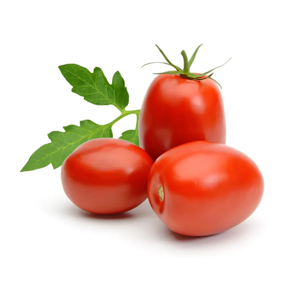 Tomate Italiano Kg