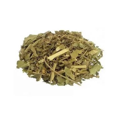 PASSIFLORA KG