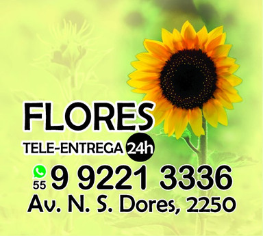 Floricultura Flores