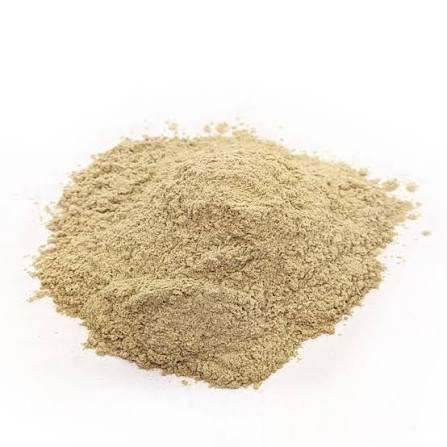 Alho Desidratado Po (100g)