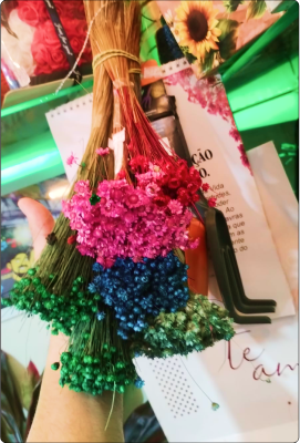 Flor Sempre Viva Brasilia em maço pequeno (consultar se disponível)