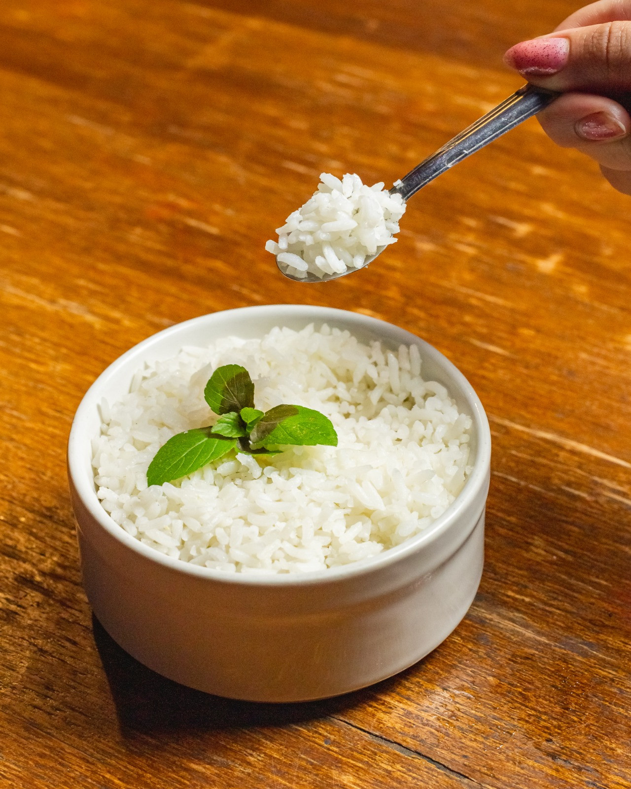 GUARNICAO DE ARROZ