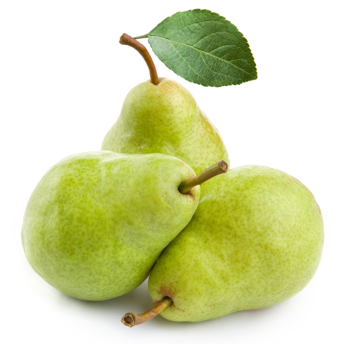 PERA KG
