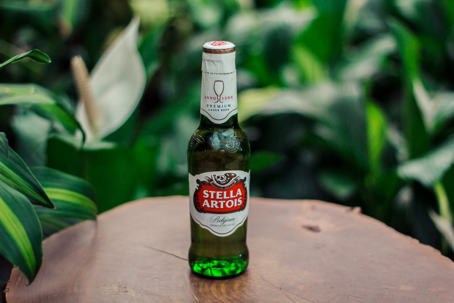 cerveja stella artois 330 ml