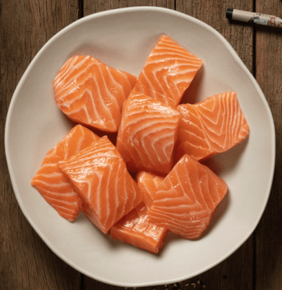 Salmão