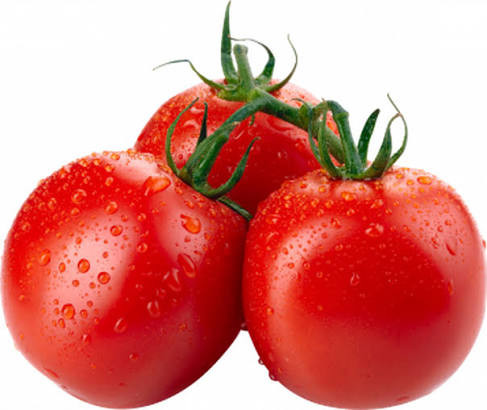TOMATE LONGA VIDA