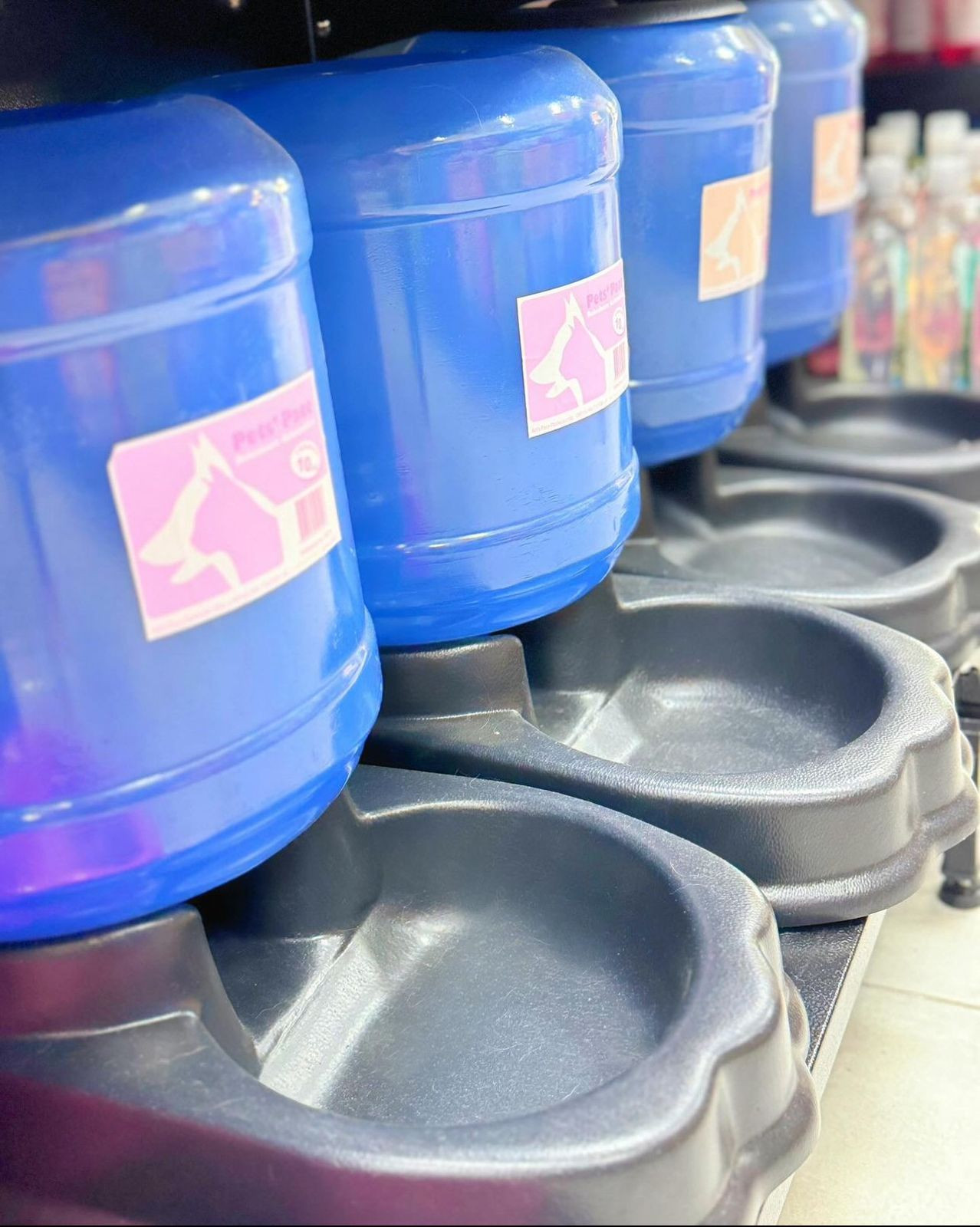 Bebedouro Automático 10L