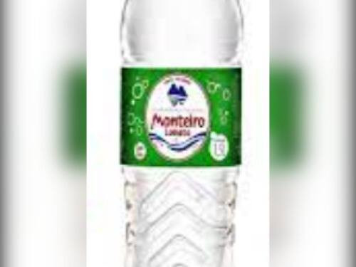 Água Monteiro Lobato 330ml com gás