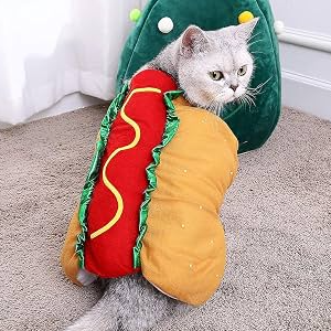 CAT -- HOT DOG