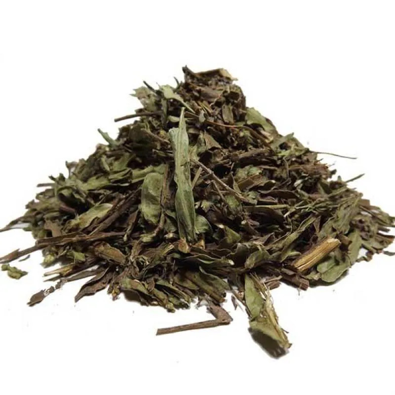 CARQUEJA AMARGA