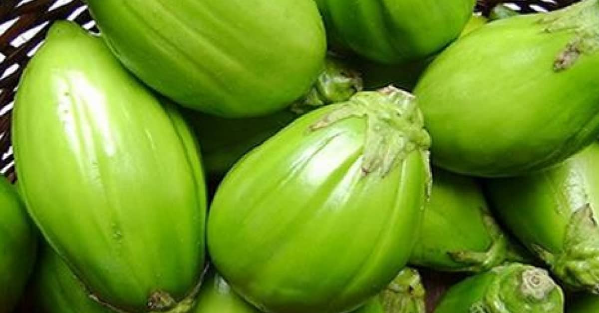 JILÓ LEGUMES