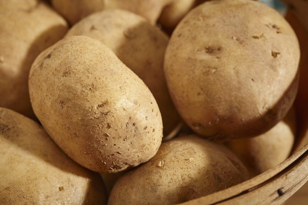 BATATA SUJA LEGUMES