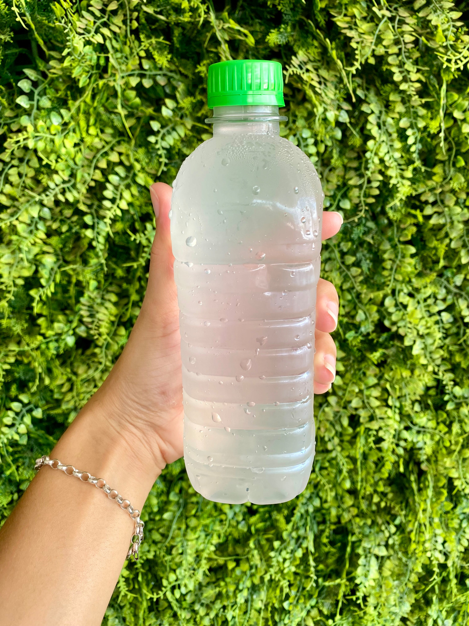 Água de Coco Natural
