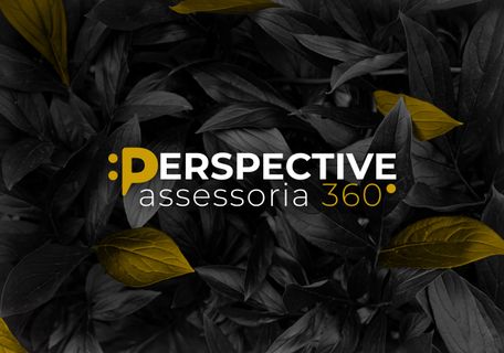 Perspective 360