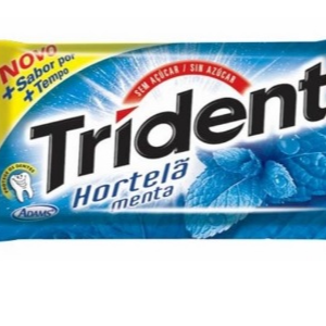 TRIDENT HORTELA DP 8GR