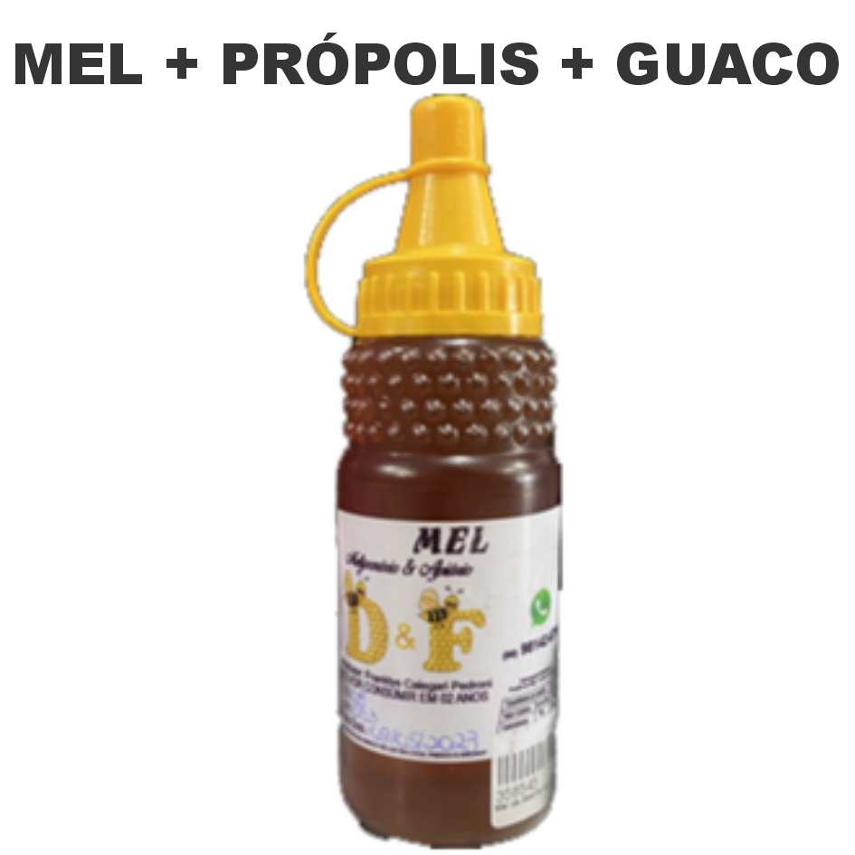 MEL DE ABELHA + PROPOLIS + GUACO AAPICOL 200G