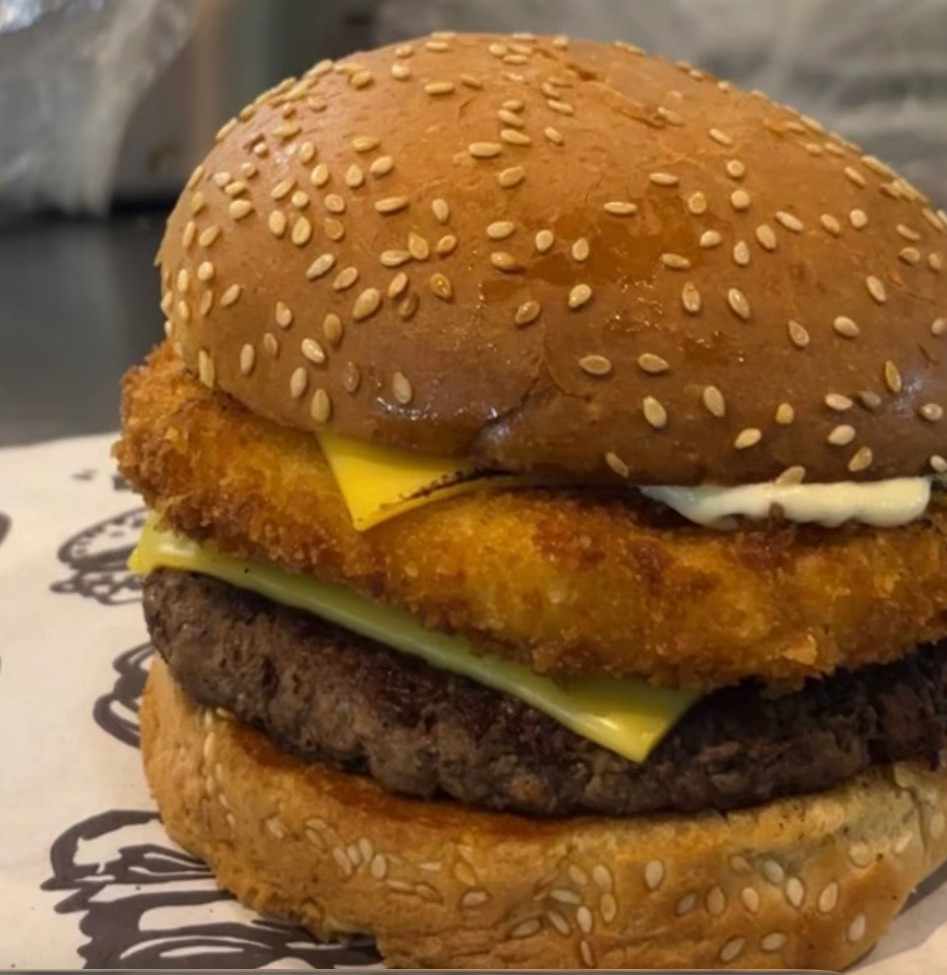 BURGUER C CATUPIRY EMPANADO 