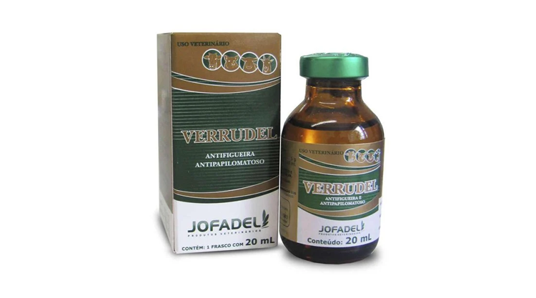 Verrudel