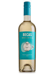 Becas Sauvignon Blanc