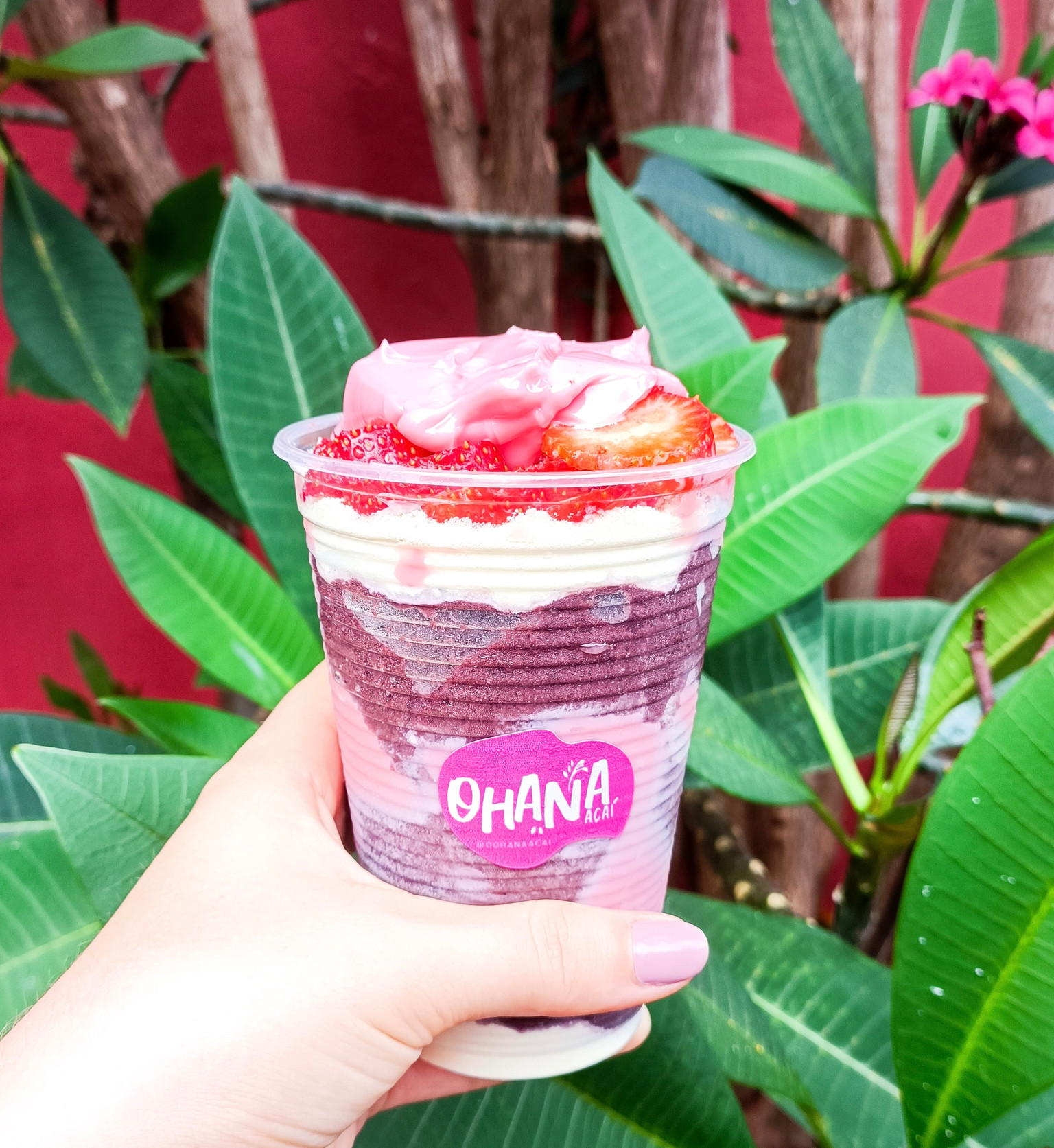MORANGUETE 🍓💗