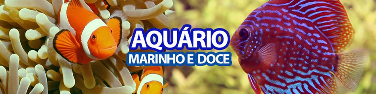 AQUADISCOS AQUARISMO