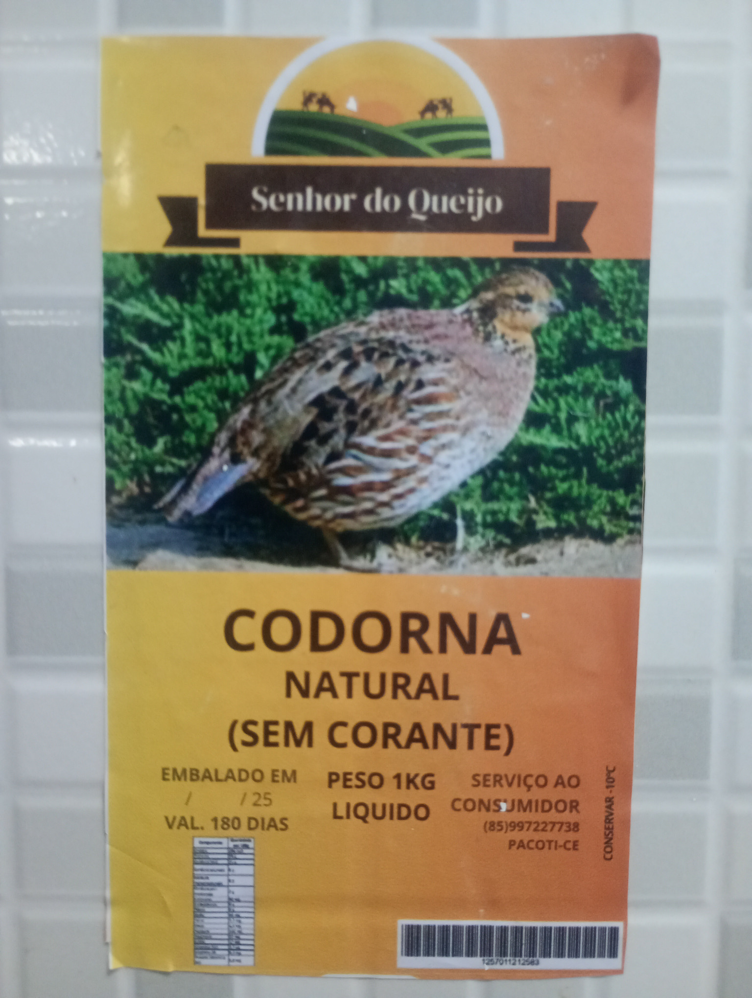 Codorna