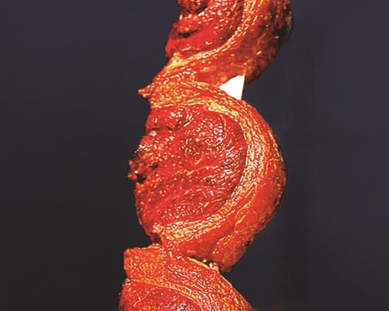 Picanha