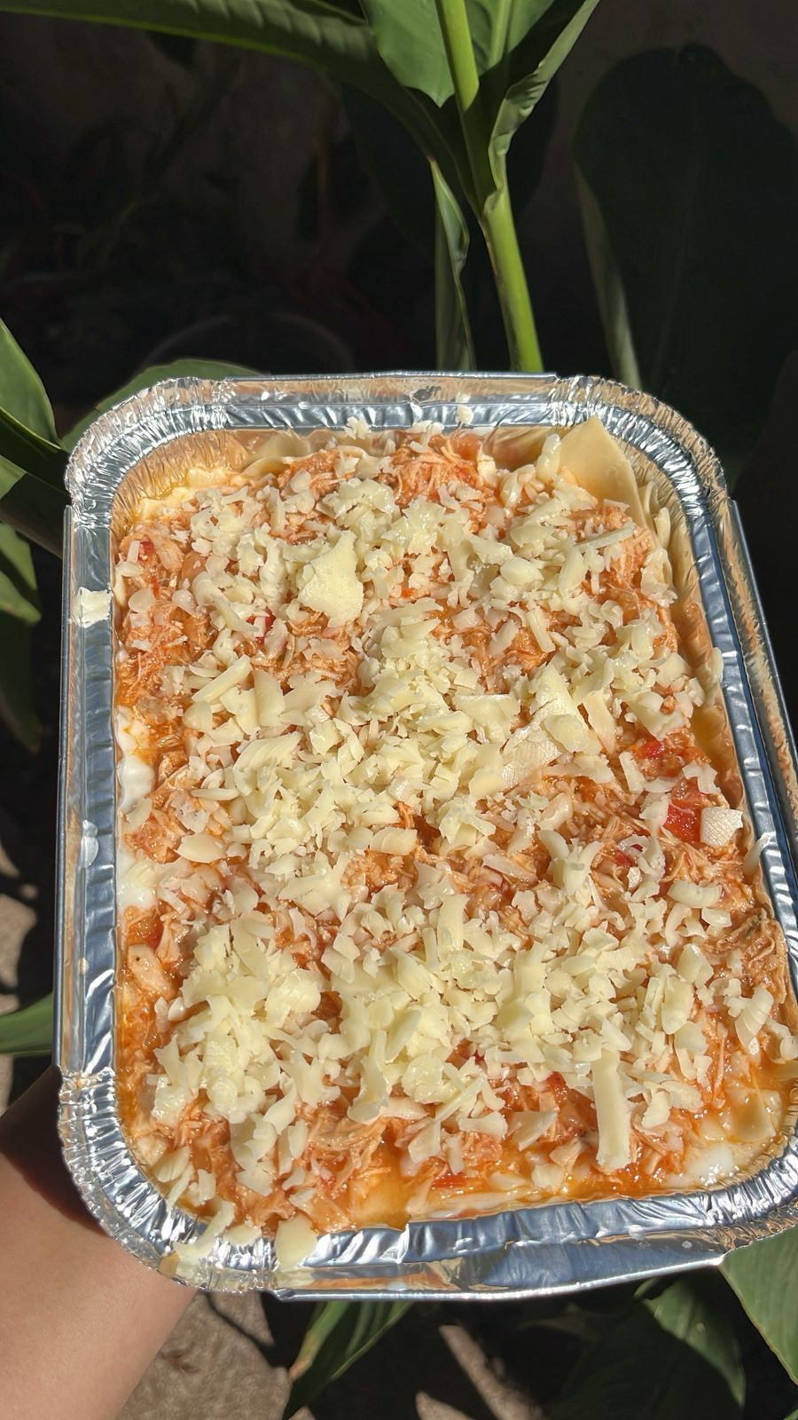 Lasanha Frango