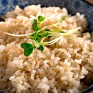Arroz Integral PQ