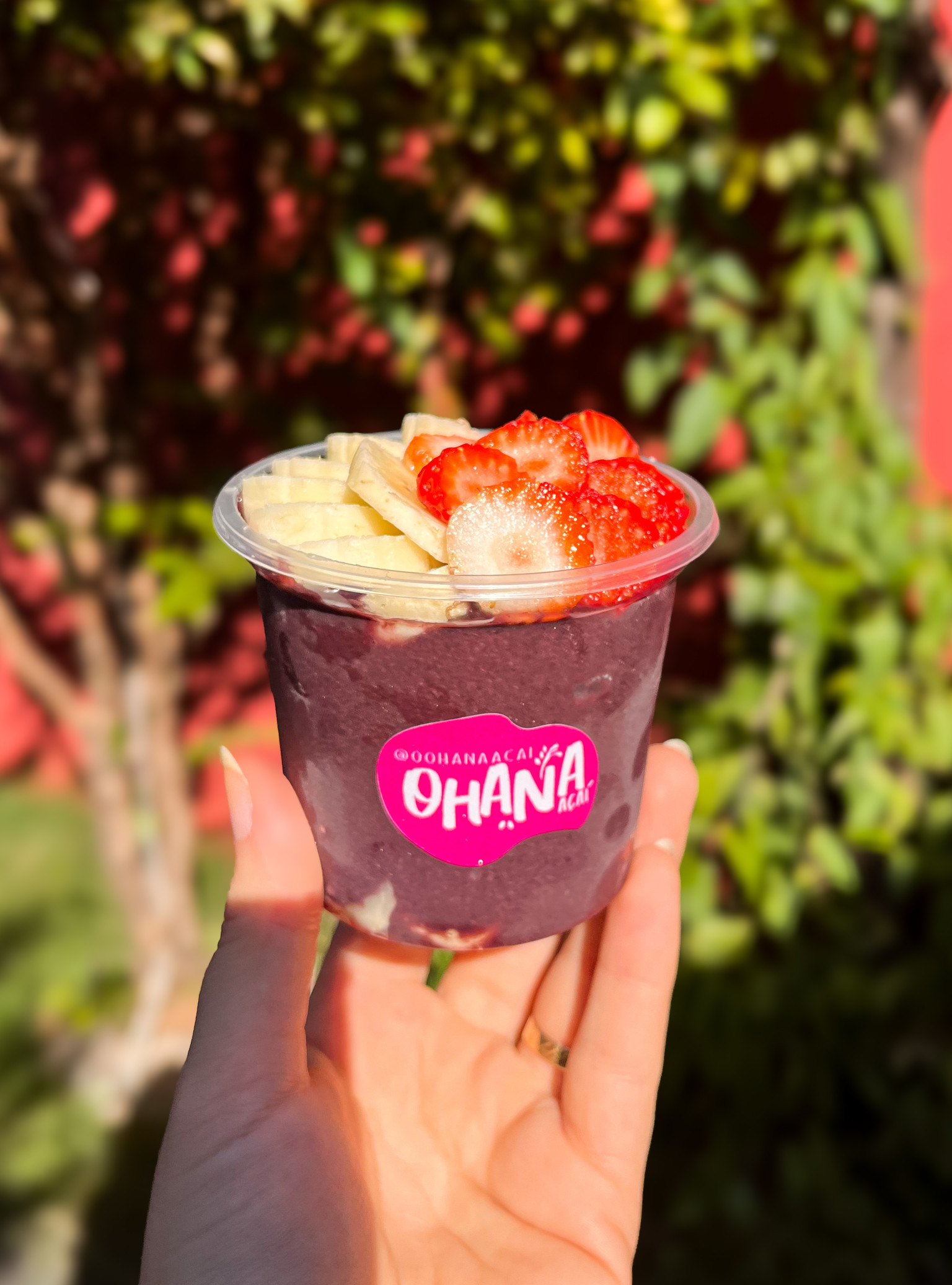 AÇAÍ SEM CULPA