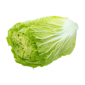 ACELGA