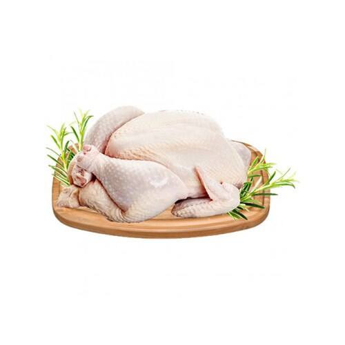 Frango Congelado