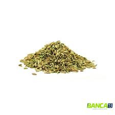 Erva Doce (100g)