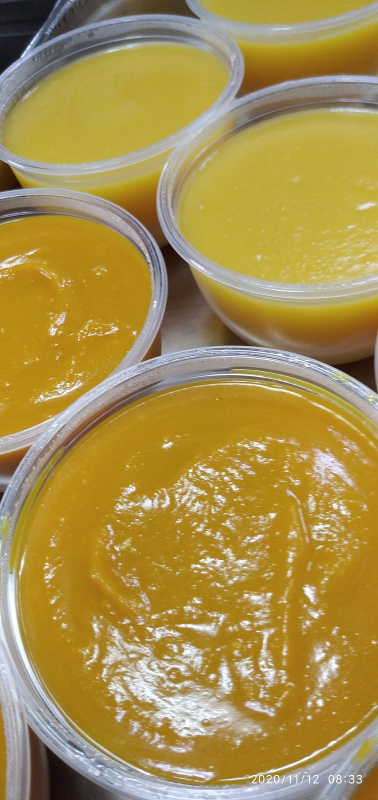 SOPAS E CONGELADOS