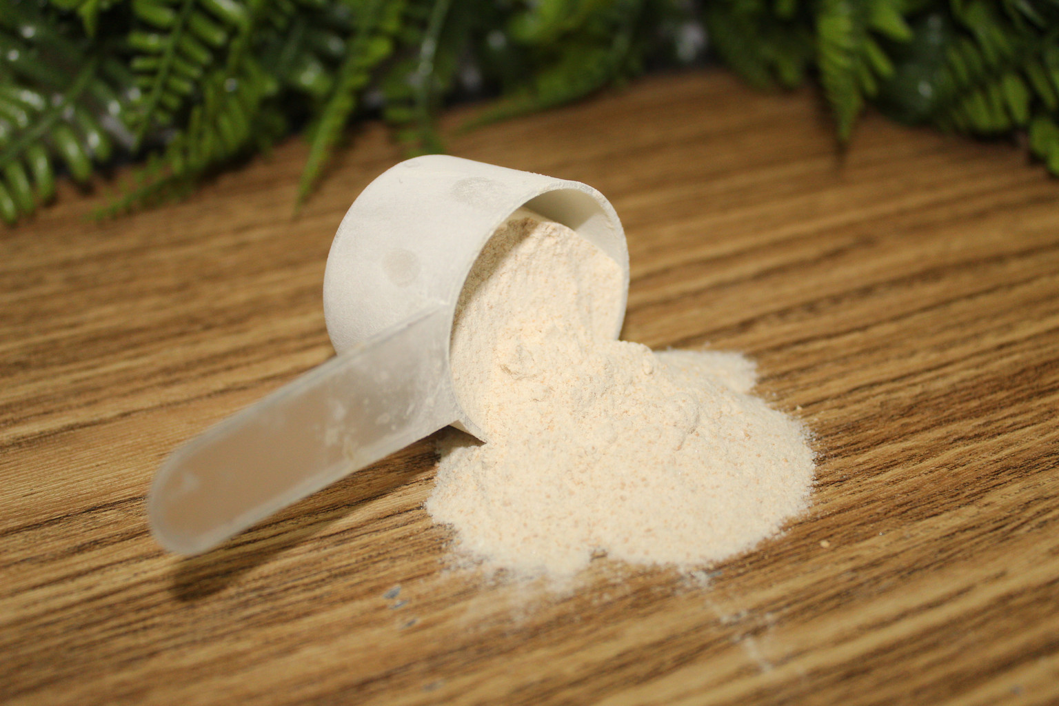 Whey Protein