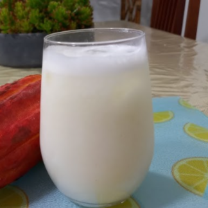 COPO SUCO CACAU 300ML