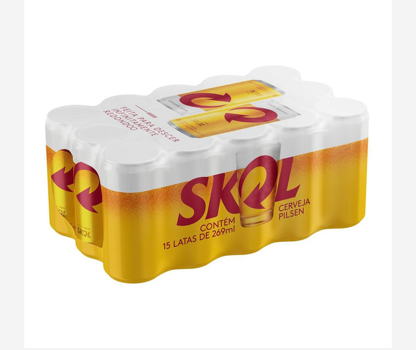 CAIXA SKOL 269 ml GELADA