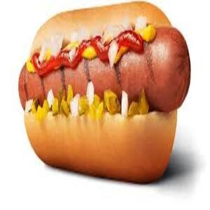 X-HOTDOG R$13,99