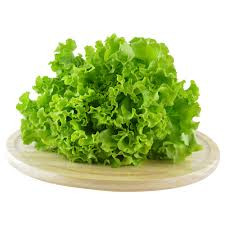 Alface crespa
