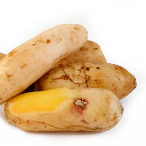 BATATA IACON